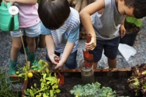 Outdoor eduction
